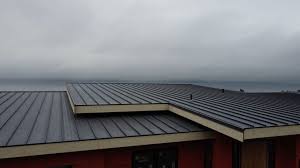 Best Metal Roofing Installation  in Pickens, SC